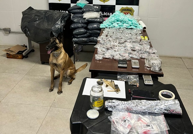 Operação conjunta entre Polícia Civil e Guarda desmantela depósito de drogas no Romano 1 operacao-conjunta-drogas-romano