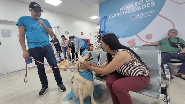 Visita de cães terapeutas leva momentos de descontração ao Núcleo de Especialidades de Americana 1 visita-caes-terapeuticos