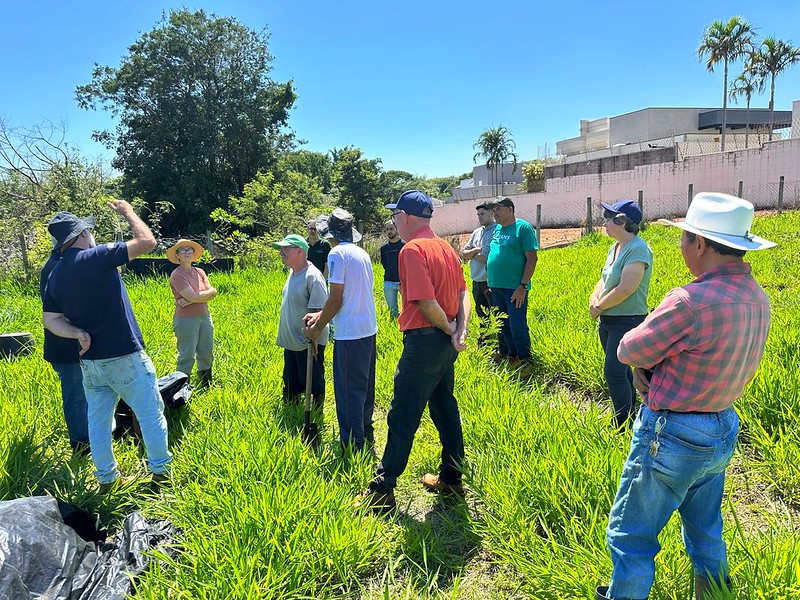 Americana capacita 40 produtores rurais e fortalece agricultura urbana