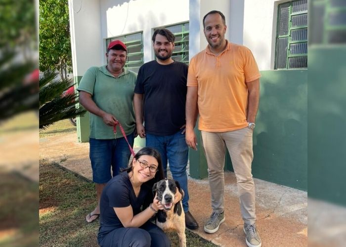 Cinco cães adultos encontram novo lar e reforçam adoção responsável em Sumaré