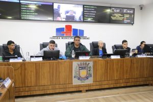 Parlamento Jovem aprova 34 documentos na última sessão de 2025