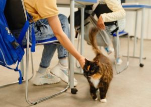 Roberta Lima propõe ensino de empatia e respeito aos animais nas escolas municipais