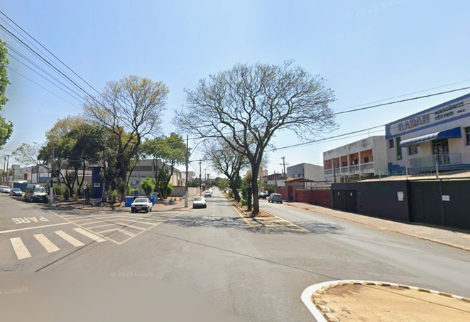 armando-salles-arvores