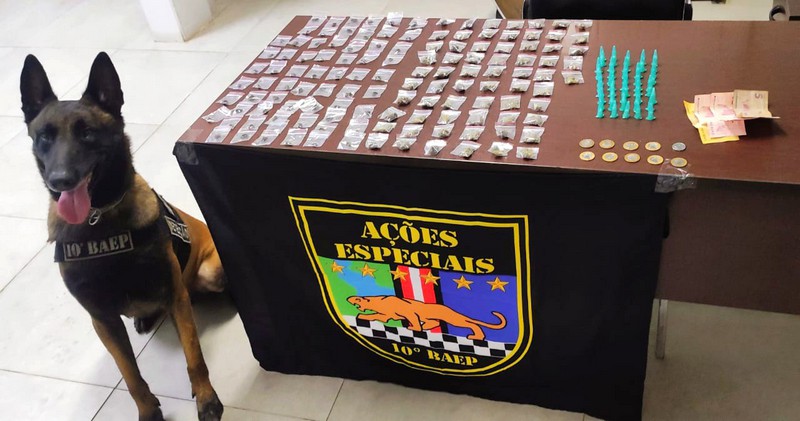 Baep prende homem por tráfico com apoio de cão policial em S. Bárbara