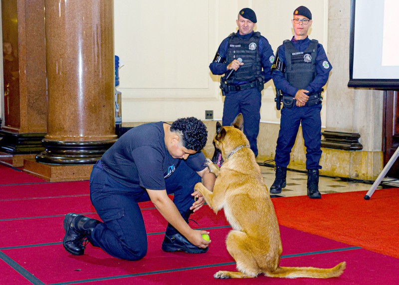 Canil da GCM de S. Bárbara leva projeto social a evento no TJ de São Paulo