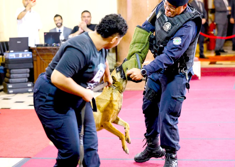 Canil da GCM de S. Bárbara leva projeto social a evento no TJ de São Paulo
