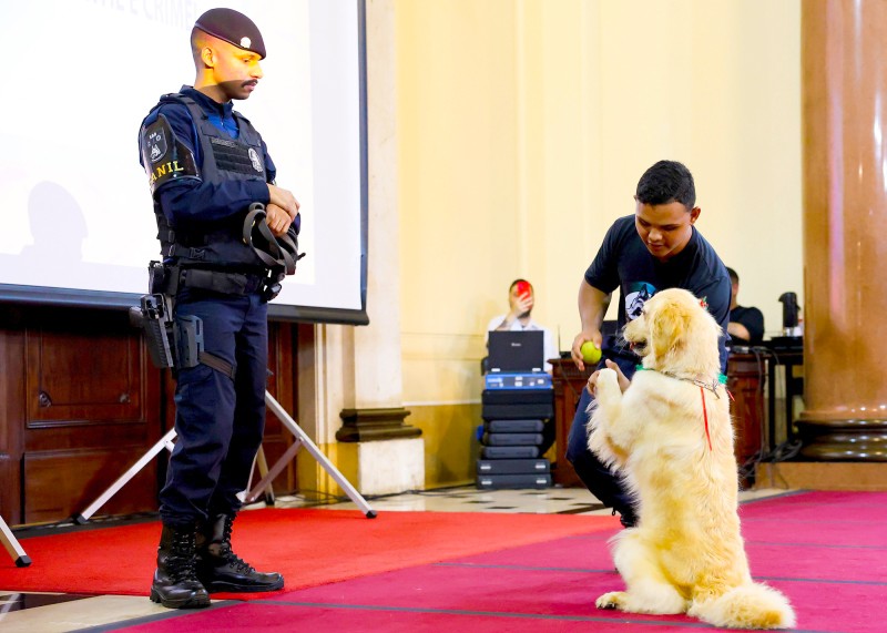 Canil da GCM de S. Bárbara leva projeto social a evento no TJ de São Paulo