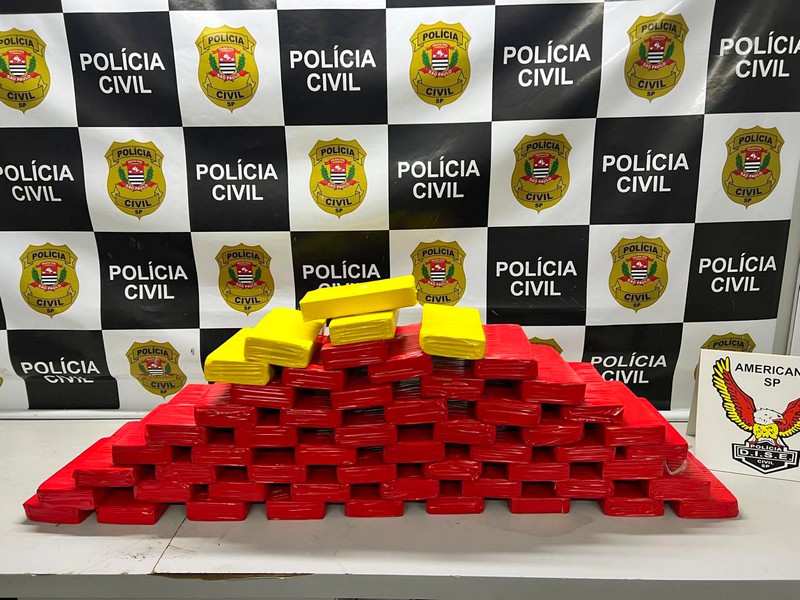 Dise apreende 55 tijolos de cocaína avaliados em R$ 1,7 milhão