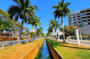 Juninho Dias pede guard rail na Avenida Brasil para reduzir risco de acidentes