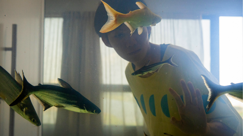 MAC Americana exibe o filme “Dormir de Olhos Abertos” na segunda-feira