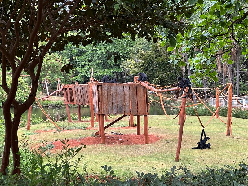Parque Ecológico garante entrada gratuita a moradores nesse fim de semana