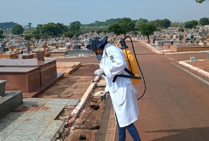 Período chuvoso eleva casos de escorpiões e Saúde alerta população 2