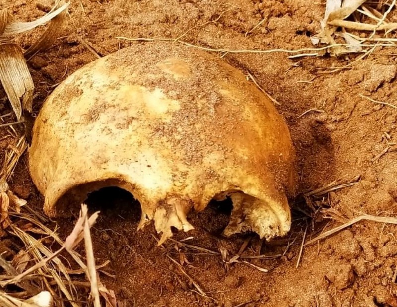 Polícia Civil investiga ossada humana encontrada em Sumaré