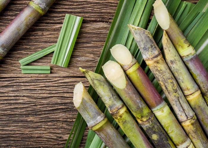 Projetos valorizam Festa da Linguiça e criam a Rota da Cana em S. Bárbara