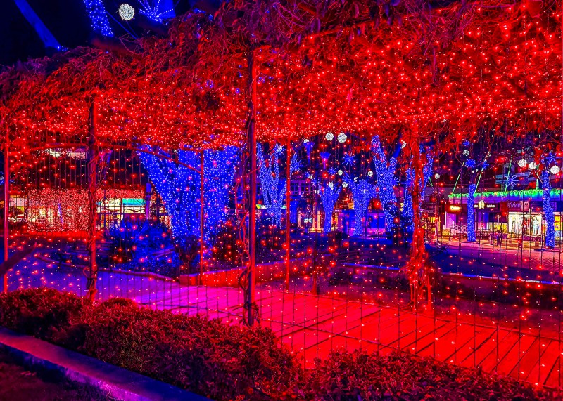 Santa Bárbara inaugura Natal das Árvores com luzes e atrações na quinta-feira