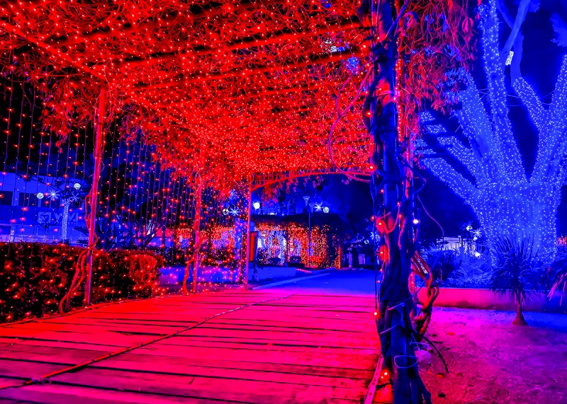 Santa Bárbara inaugura Natal das Árvores com luzes e atrações na quinta-feira