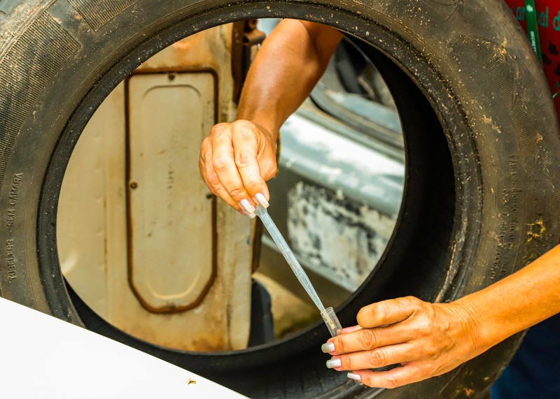 Santa Bárbara intensifica ações contra o mosquito Aedes aegypti
