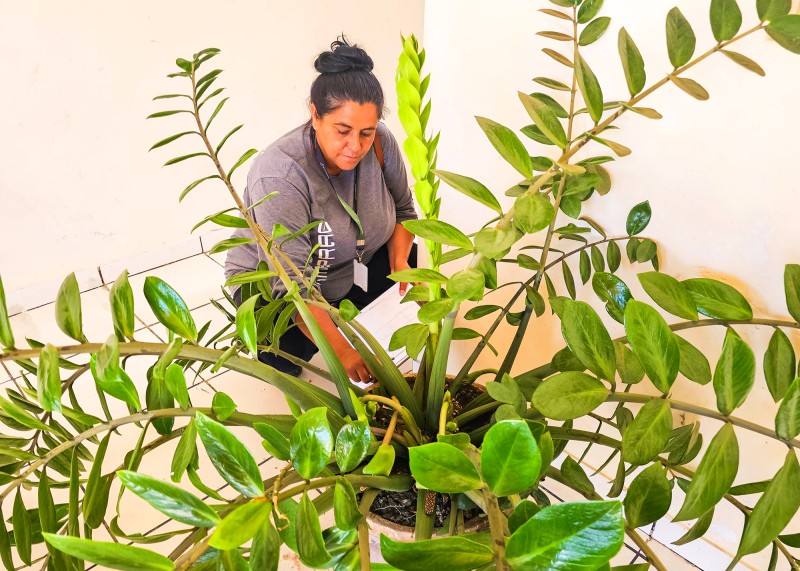 Santa Bárbara mantém combate ao Aedes durante recesso