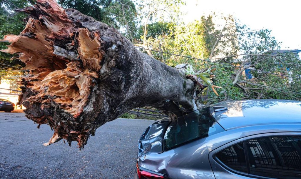 São Paulo enfrenta ventos de quase 100 km/h nesta quarta-feira