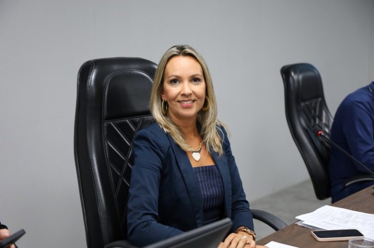 Talitha De Nadai solicita informações sobre transporte escolar no Jardim dos Lírios