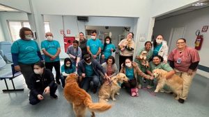 caes-terapeutas-hospital-unacon (2)