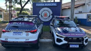 gama-idmas-americana-violencia-domestica