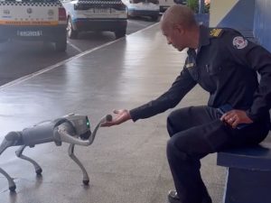 guarda americana cão robô 6