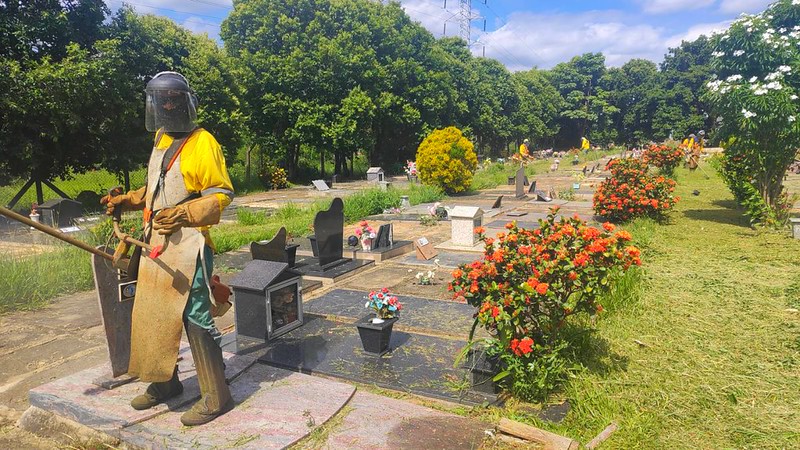Americana executa serviços de poda e limpeza em diferentes regiões da cidade