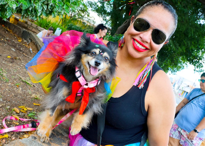 BloCão leva causa animal ao Carnaval de SBO 2026