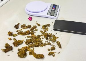 Dise de Americana prende investigado por tráfico em Nova Odessa