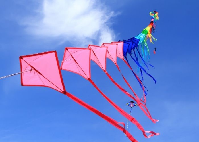 Férias elevam risco de pipas na rede elétrica na região