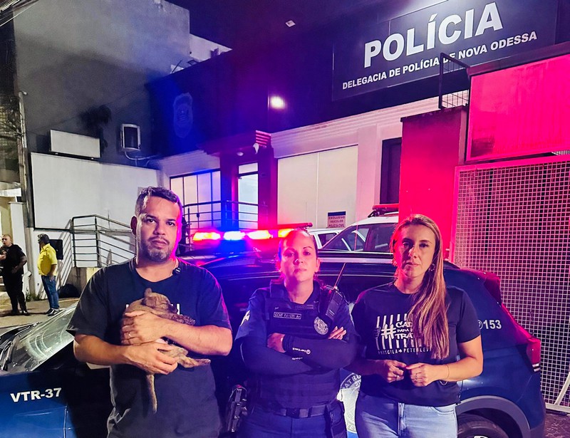 Homem é detido após agredir cão com barra de ferro em Nova Odessa