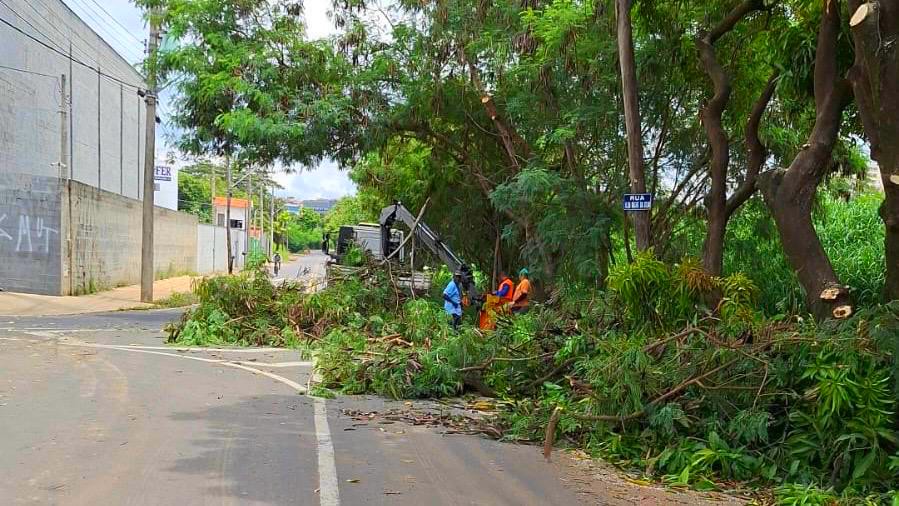 Nova Odessa realiza poda preventiva na Rua Ilda Bagne da Silva