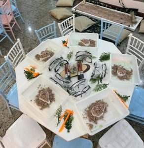 Oficina Tivossauro_Divulgação_Tivoli