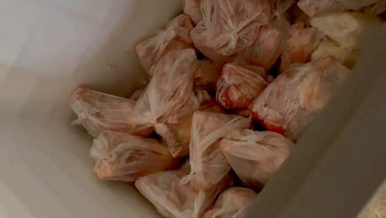 DIG descobre matadouro clandestino e apreende 4 toneladas de carne em Hortolândia