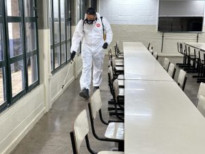 dedetizacao-escolas-americana