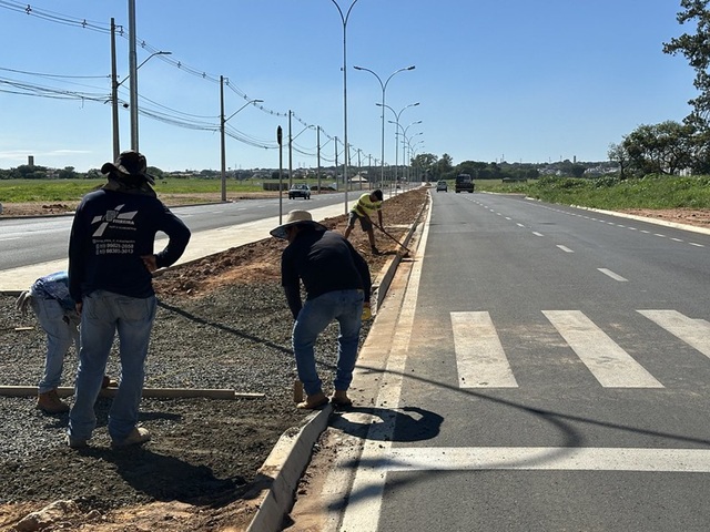 estrada-balsa-americana