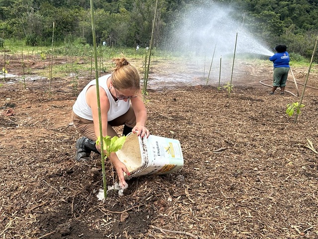 refloresta-americana (2)