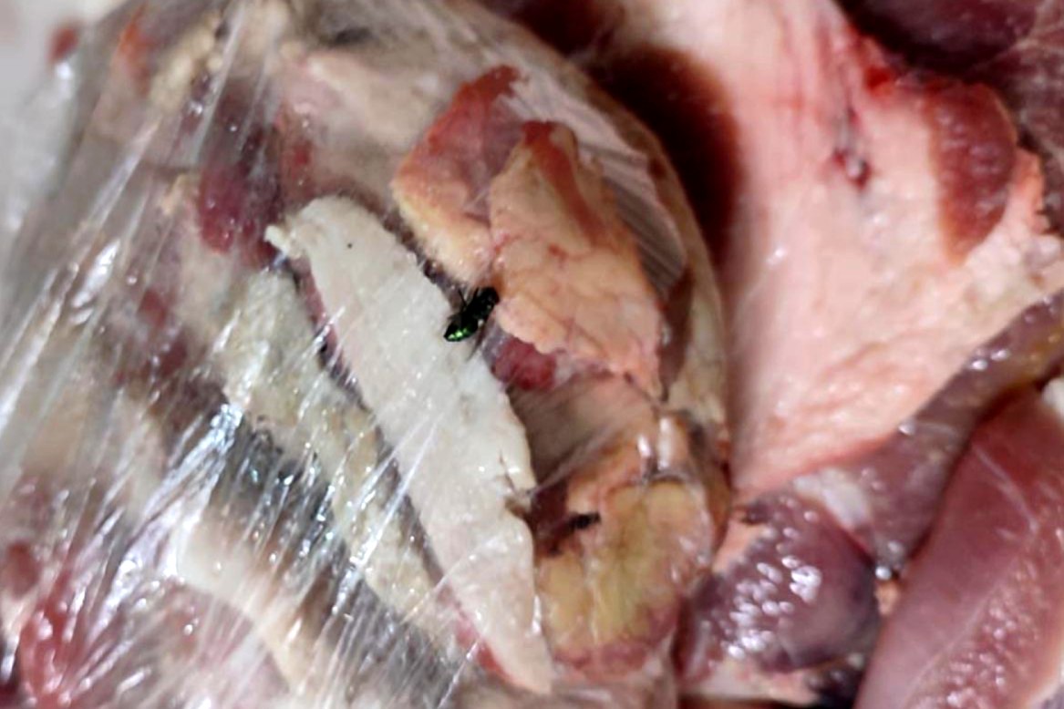 Ação da DIG apreende 435 kg de alimentos impróprios em supermercado de Americana 3