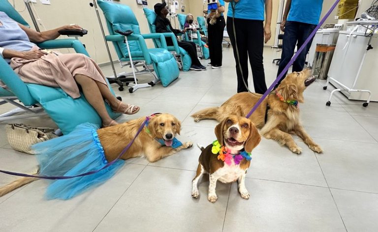 Cães terapeutas levam alegria a pacientes da Unacon no Carnaval