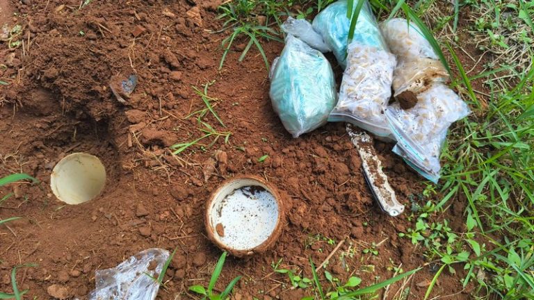 GCM apreende 819 porções de drogas em cano de PVC enterrado no Romano