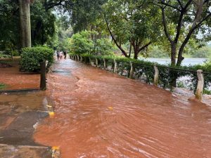 chuva-americana-parque-ecologico