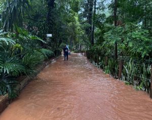 enxurrada-parque-ecologico-americana