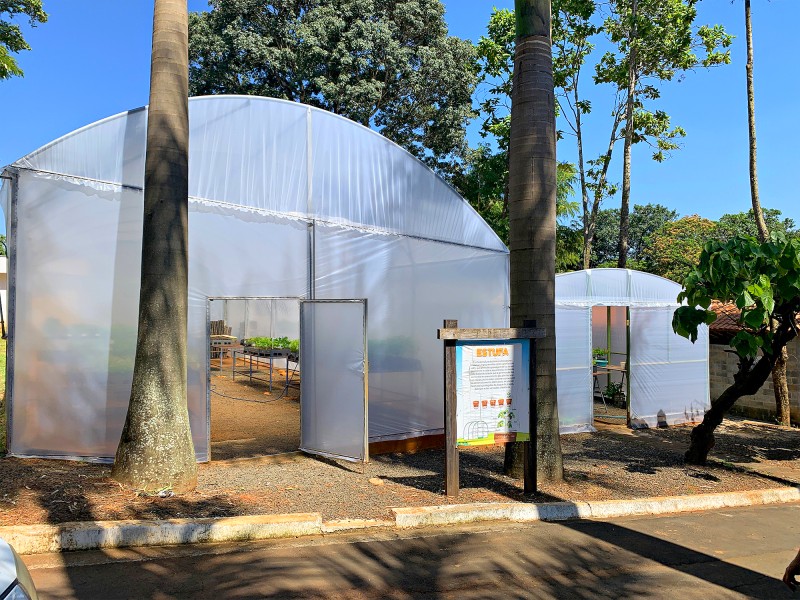 DAE SBO adota tecnologia sustentável na produção de mudas