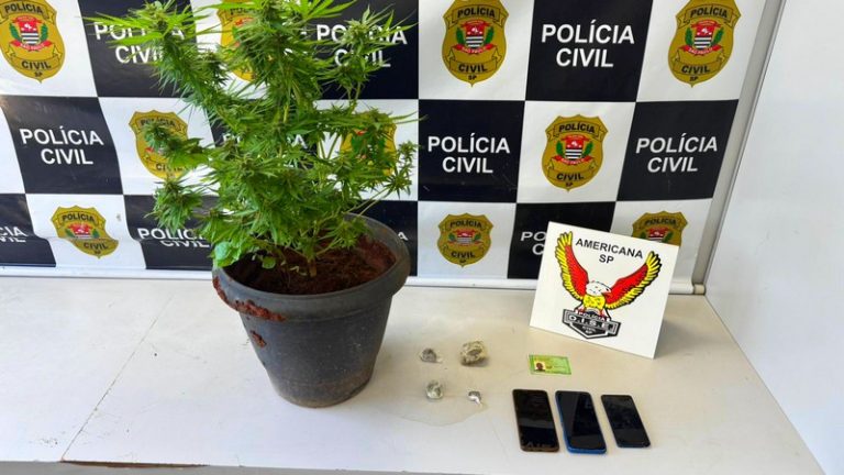 Homem é preso após Dise encontrar maconha cultivada em casa no Jardim da Paz