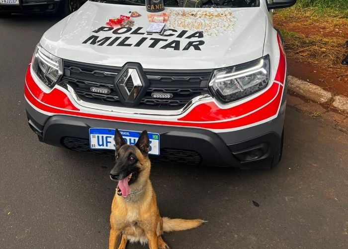 PM prende dois traficantes durante ações em Americana