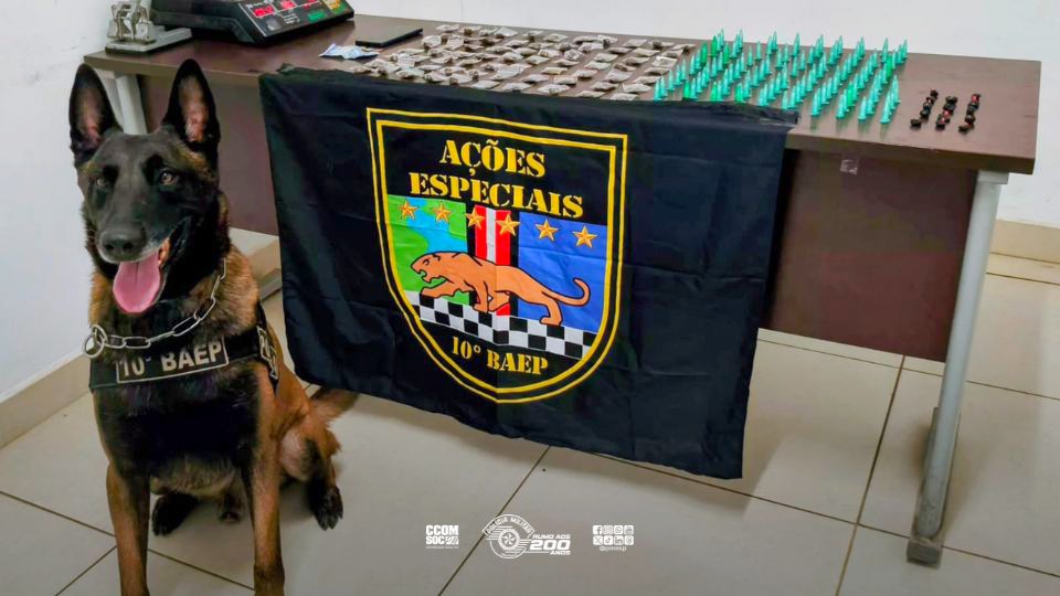 Baep prende homem por tráfico com apoio de cão farejador em Sumaré