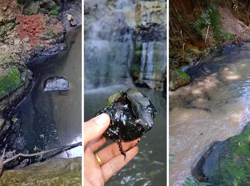 Cetesb investiga descarte de óleo em córrego de Americana