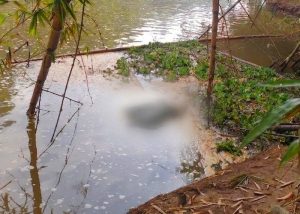 Corpo é encontrado no Rio Piracicaba em Americana