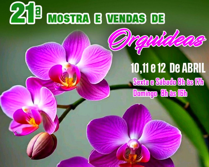 Mostra de Orquídeas começa nessa sexta-feira em Sumaré